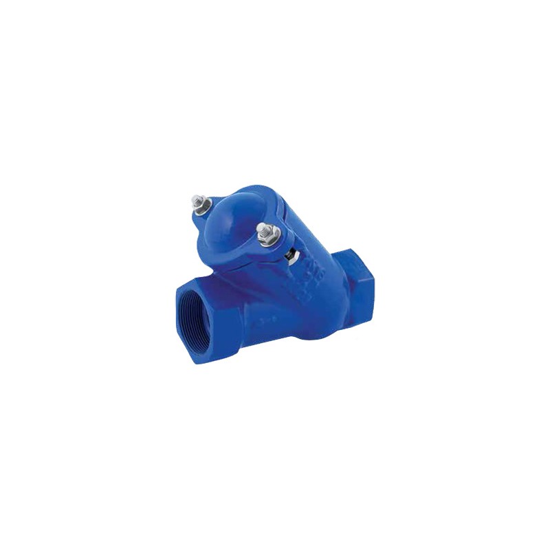2" THREADED BALL CHECK VALVE