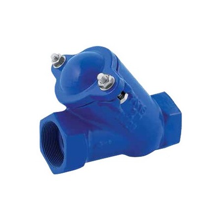 2" THREADED BALL CHECK VALVE