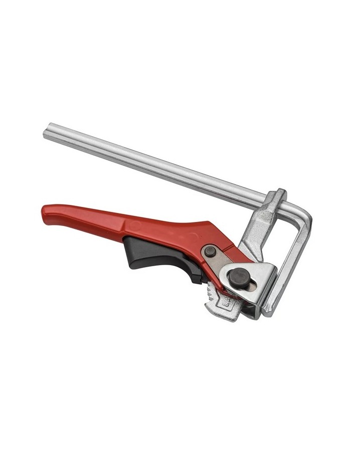 Hikoki Schnellspanner x bingario guioda