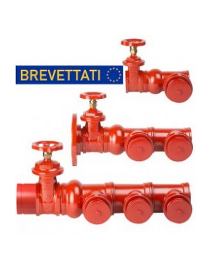 Bocciolone 205/d flanged delivery pump connection unit + 1 dn2" connection