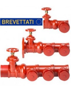 Bocciolone 205/d gruppo attacco autopompa mandata flangiata+1 attacco dn3"