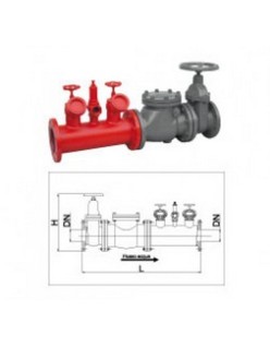 Bocciolone 40/c horizontal line fire pump connection unit + 2 hydrants DN150