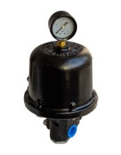 Bocciolone 906 throttle x dry valve