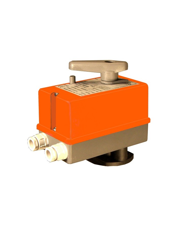 0 ÷ 10 V 24VAC control motor for mixing and...