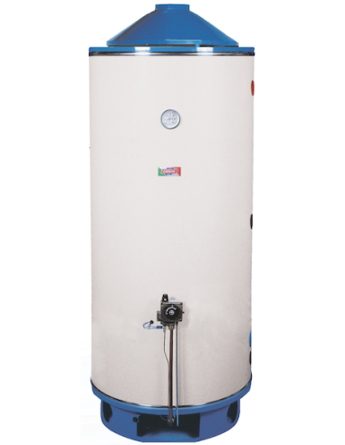 Coterm BG2000 OVO calentador de agua a gas con...