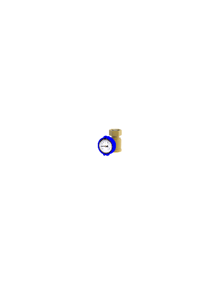 De Pala Ventil mit blauem Thermometer für De Pala Pumpengruppen - DN25